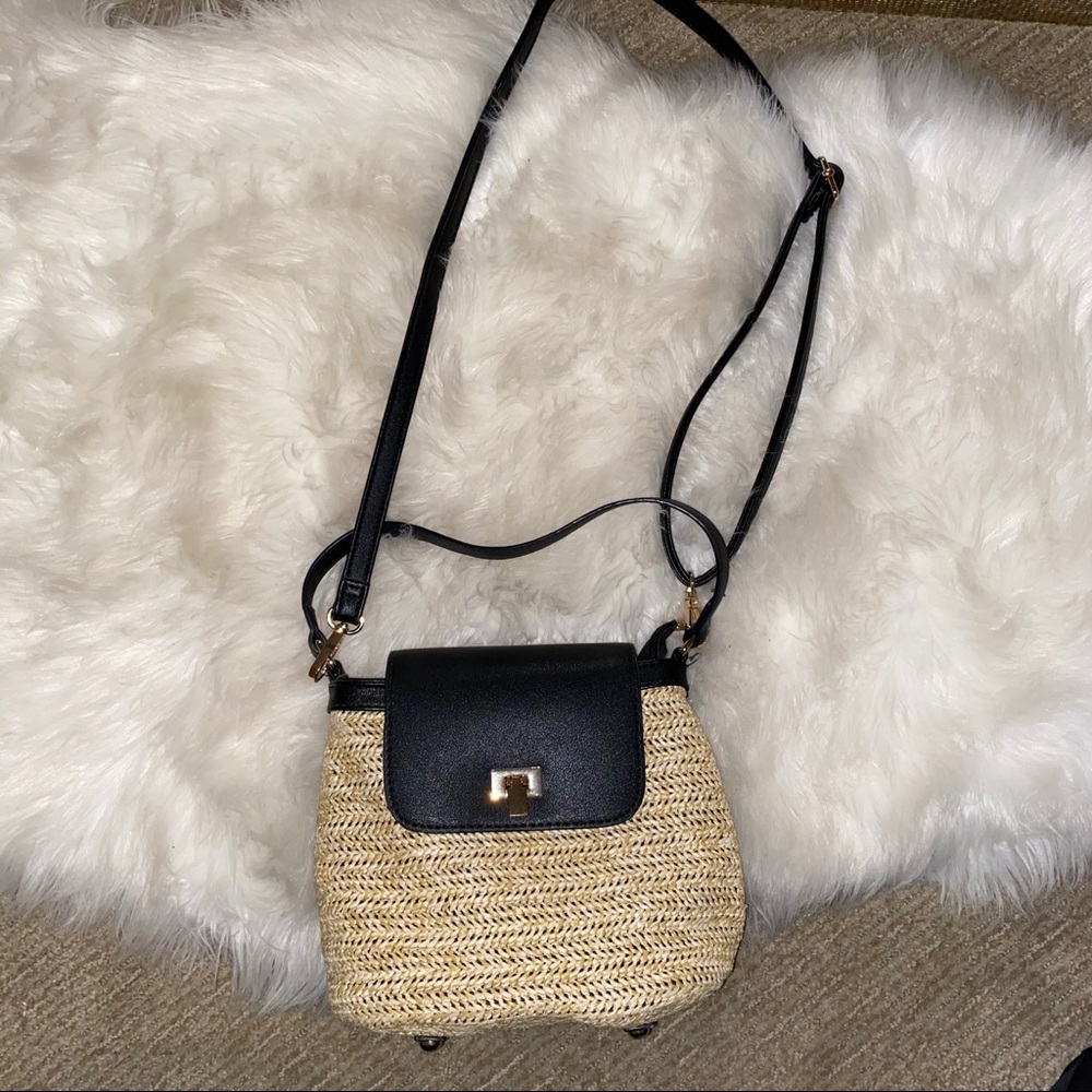 Black and Tan purse